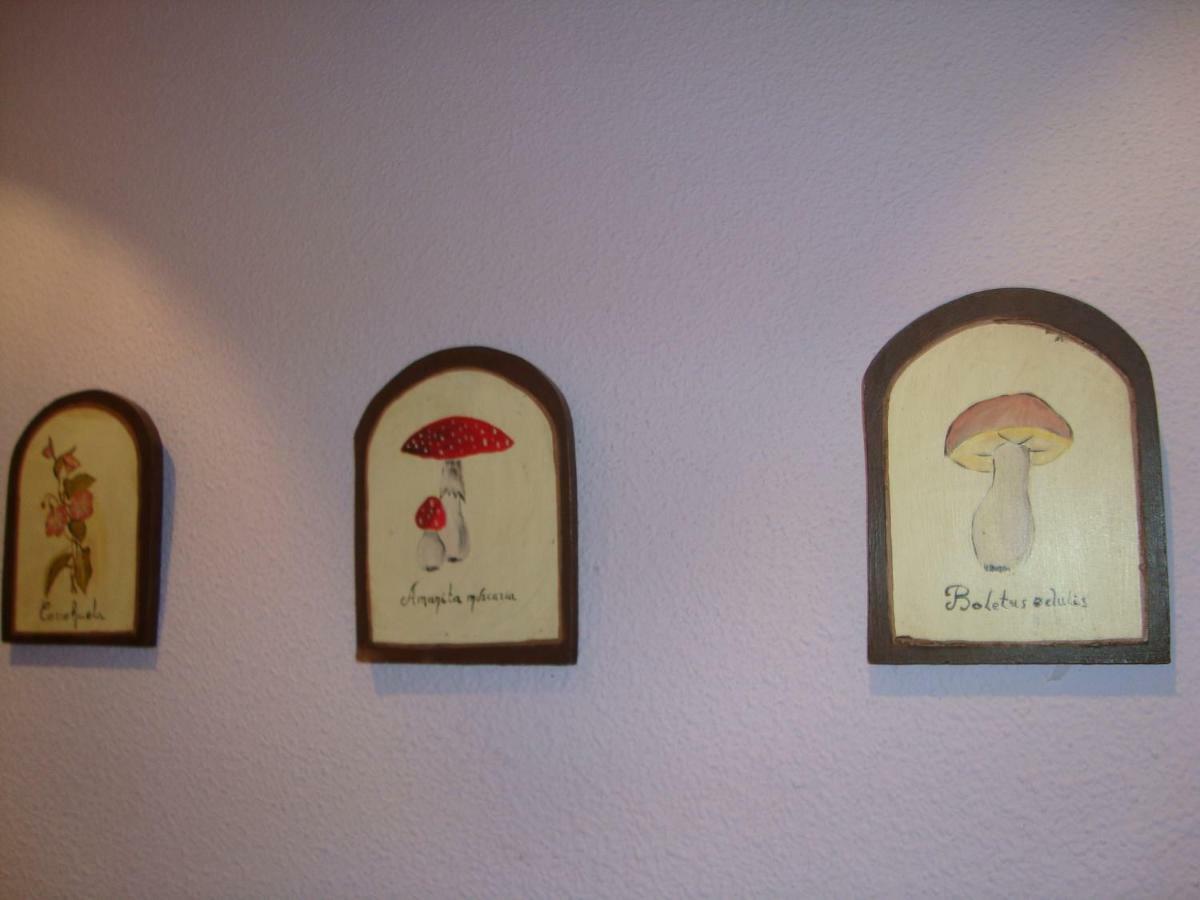 Apartamento Casa Go Torla Buitenkant foto